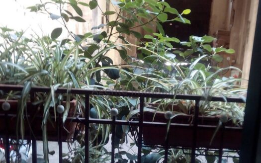 Affitto monovano arredato Acireale centro Giovanna Nicolosi Agenzia Immobiliare