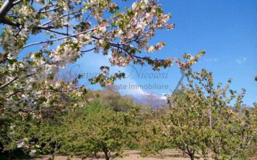 Vendita terreno edificabile panoramico Miscarello Giarre Giovanna Nicolosi Agenzia Immobiliare